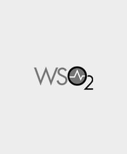WSO2 Enterprise Integrator 6 Developer