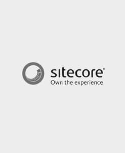 Sitecore 10 .NET Developer Certification